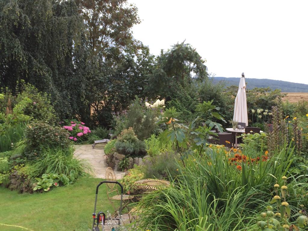 Gaestehaus Villa Kreativ Susanne Lay Bad Münder am Deister Exteriér fotografie